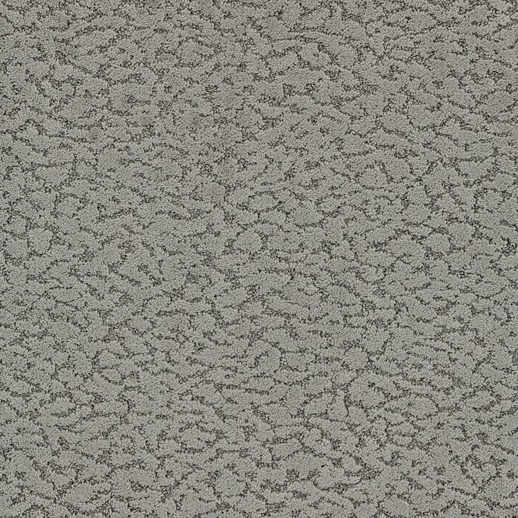 phenix carpet 3